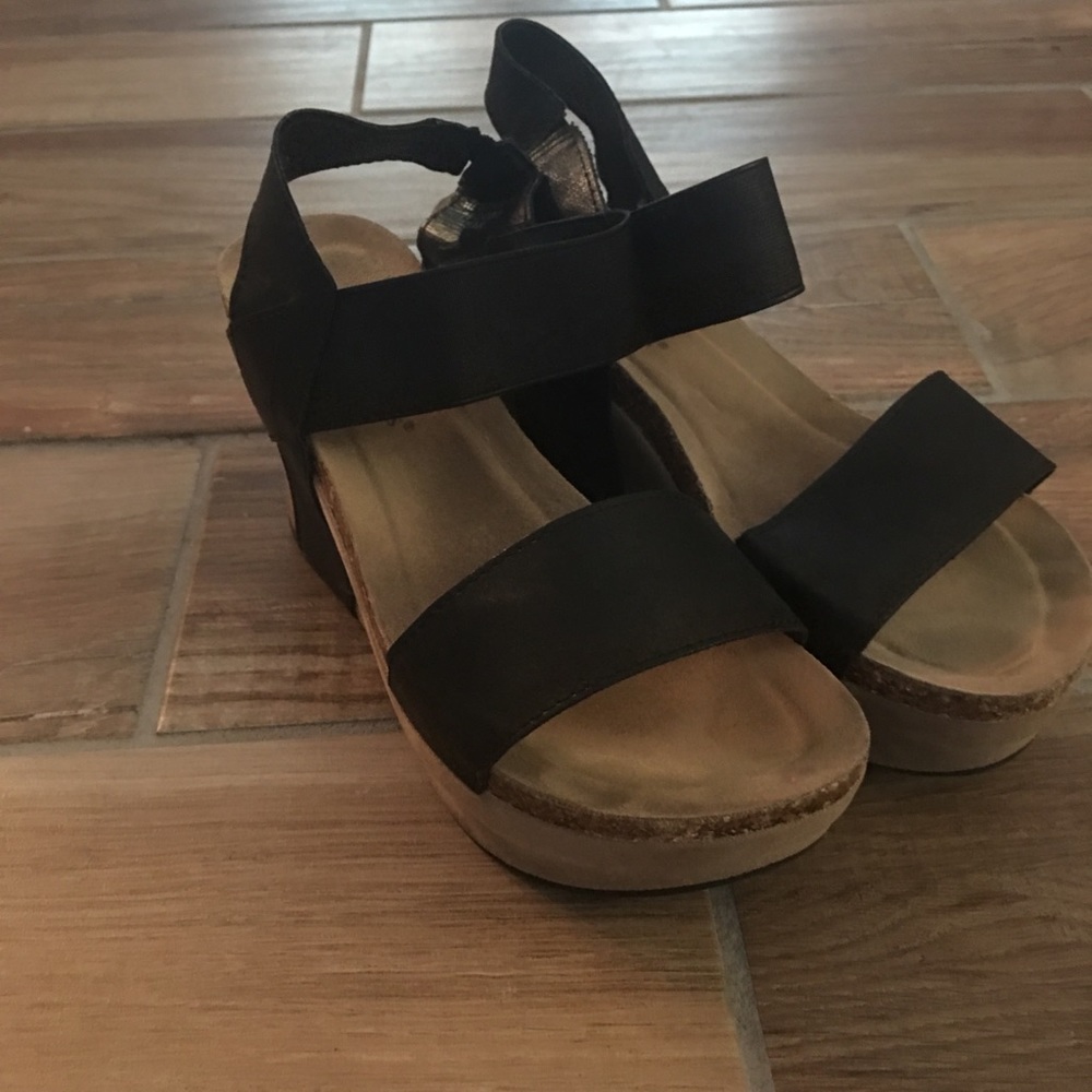 Pierre Dumas wedges